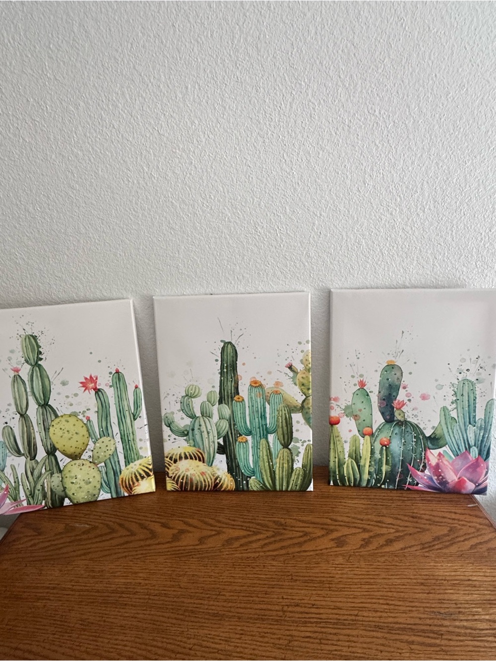 Designer Botanical Cactus Canvas Wall Art Print Set